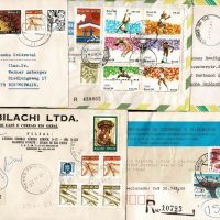 0489cat_0-1-1536x819